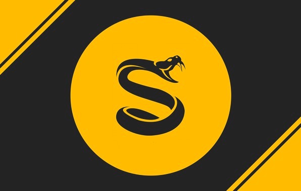 Professor_Chaos тренер Splyce по CS:GO Professor_Chaos тренер Splyce по CS:GO